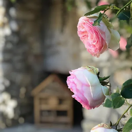 L'autre Maison - Grand De Charme Pres D'uzes Feriehus Saint-Jean-de-Ceyrargues