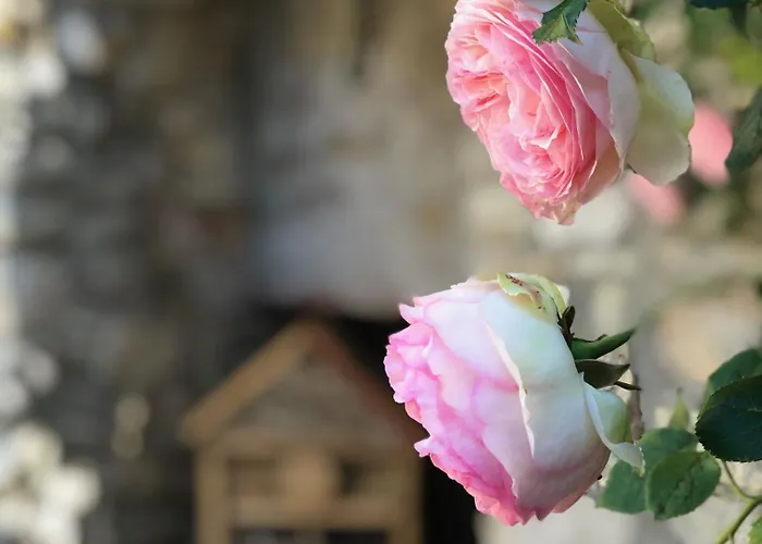 L'autre Maison Hébergement de vacances Saint-Jean-de-Ceyrargues